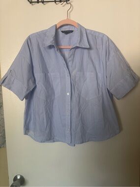 Zac & Rachel Light Blue Pinstripe Short-Sleeve Button-Down Shirt